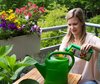 Schneller Nährstoffnachschub für Balkonblumen