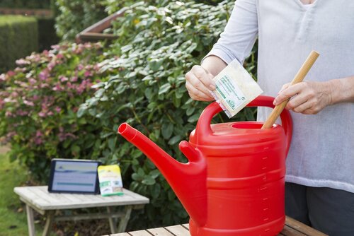 Schädlinge im Boden biologisch bekämpfen