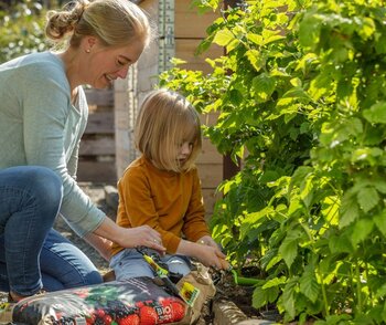 Gesunde Vitamine pflanzen