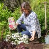Bring deine Hortensien zum Blühen
