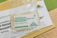 Dickmaulrüssler biologisch bekämpfen
