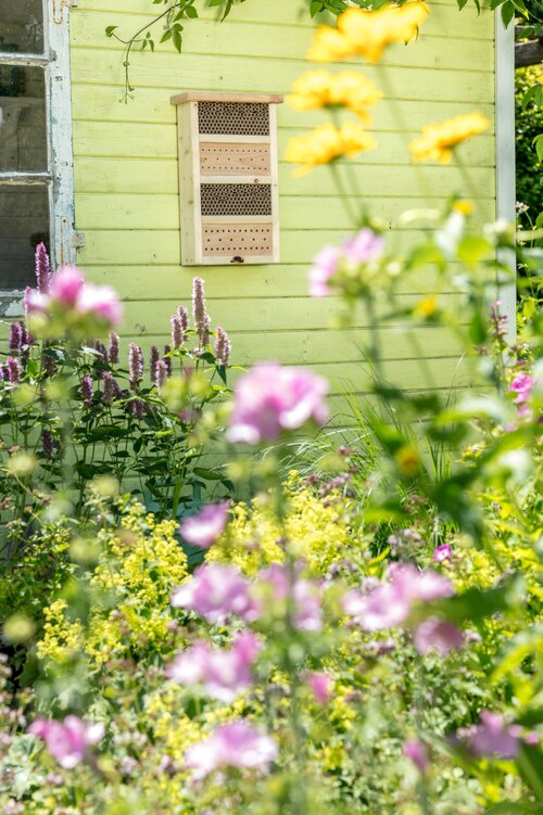 Wildbienen gezielt unterstützen