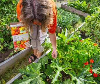 Behalte den Durchblick im Tomatendschungel