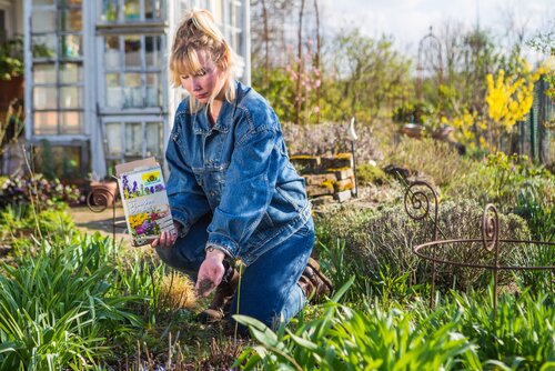 Optimale Nährstoffversorgung für Stauden