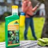 Austriebsspritzung beginnen