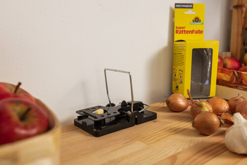 Fangsichere Rattenfalle