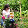Ein Sommer voller Rosen