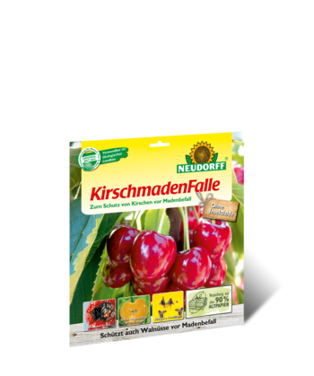KirschmadenFalle